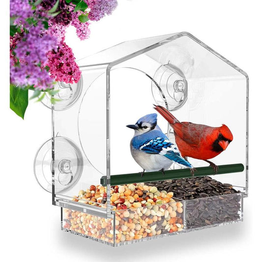 Ultimate Window Bird Feeder with Powerful Suction Cups - Attract Cardinals, Finches, Chickadees & More!
